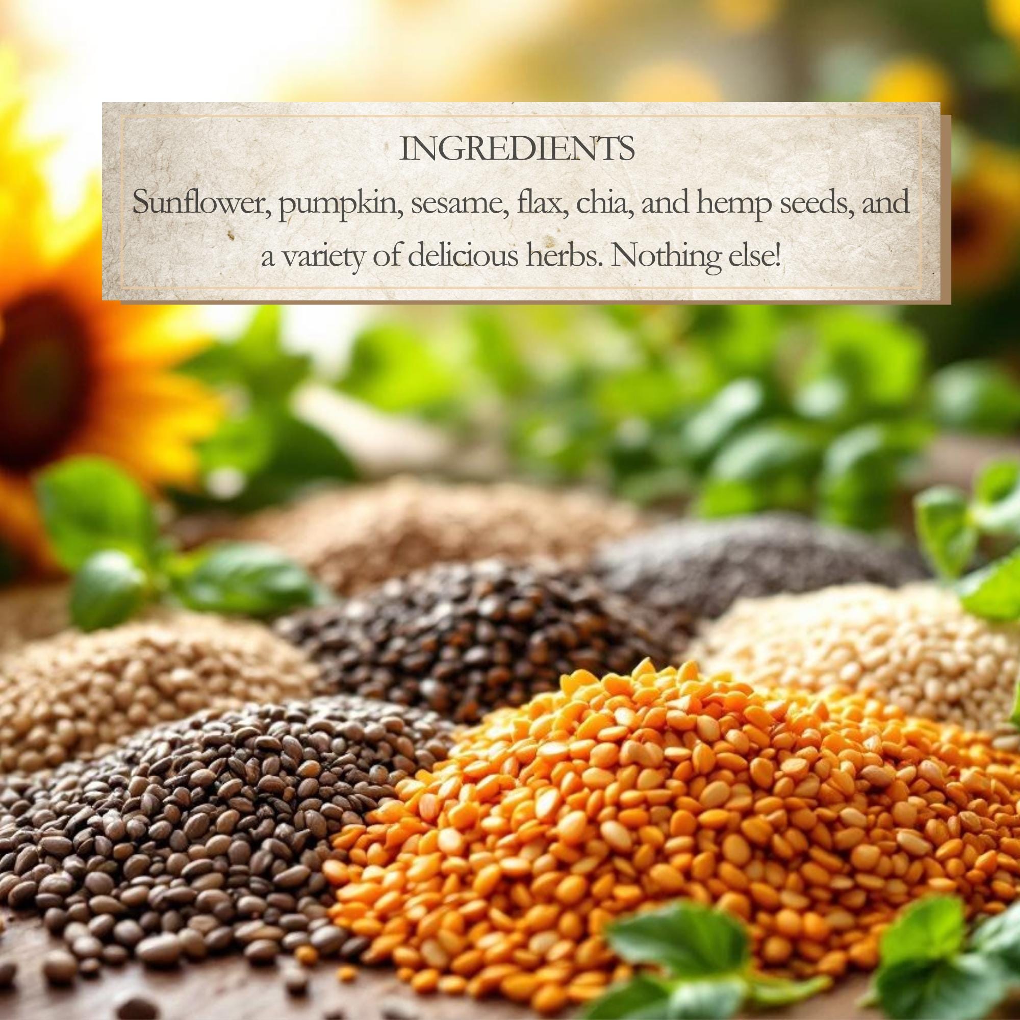 Healthy Salad Toppings Gift Set, Set of 4 Gourmet All-Natural Seasoning Blends, Vegan Gluten-Free Foodie Care Package, Nutritious Mix