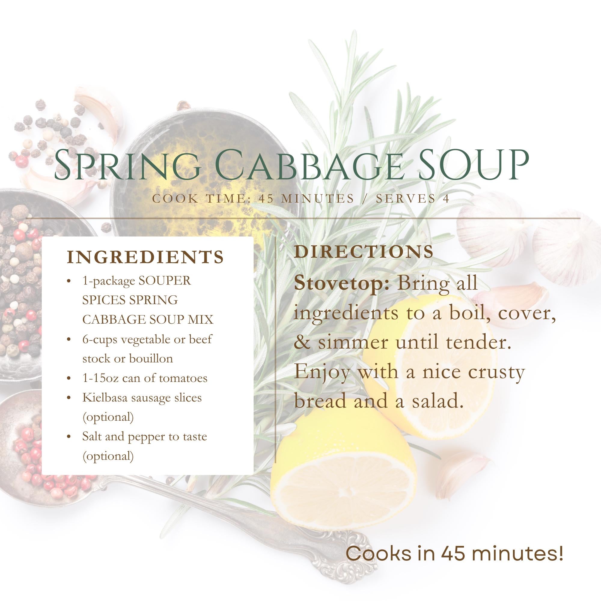 Homemade Spring Cabbage Soup – Savory Vegan Veggie Broth – Healthy Care Package Gift